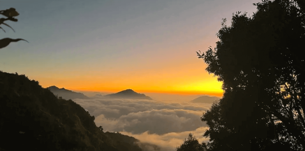 南投 杉林雲境露營區