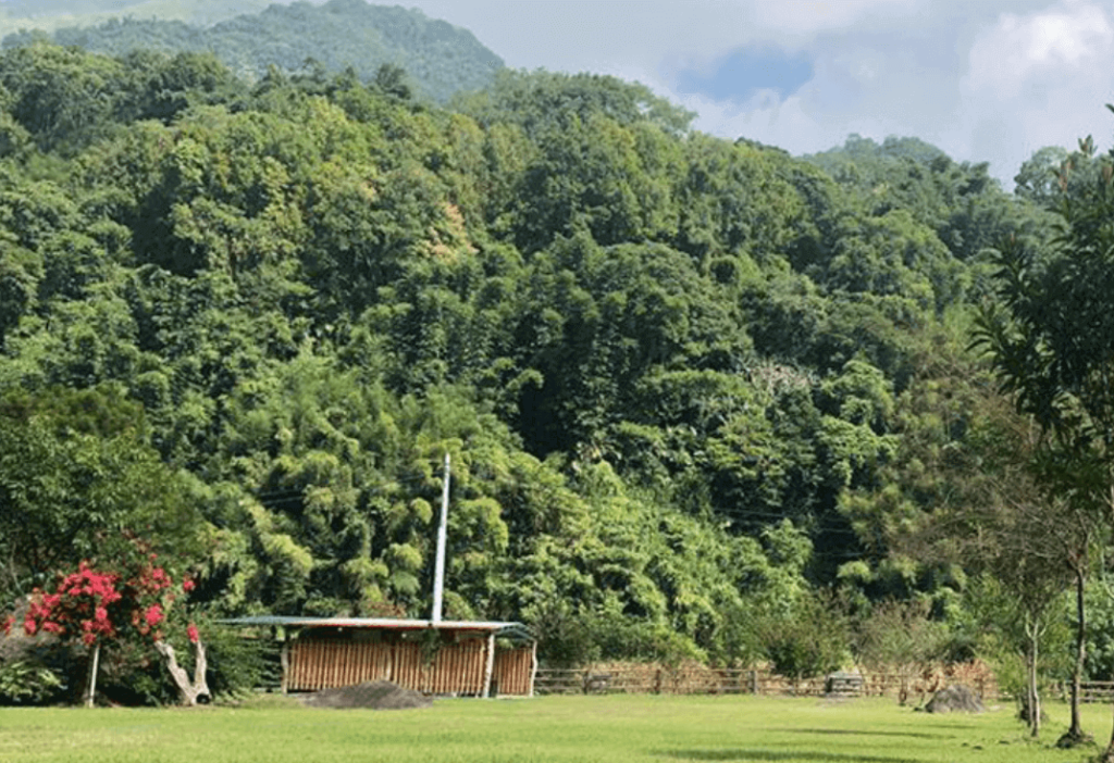 嘉義阿里山 有夠遠露營區