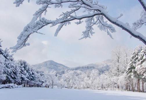 滑雪場雪景