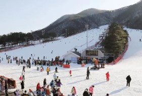 芝山度假村滑雪場