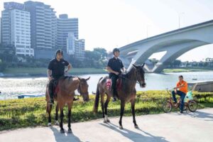 法律系出路薪水